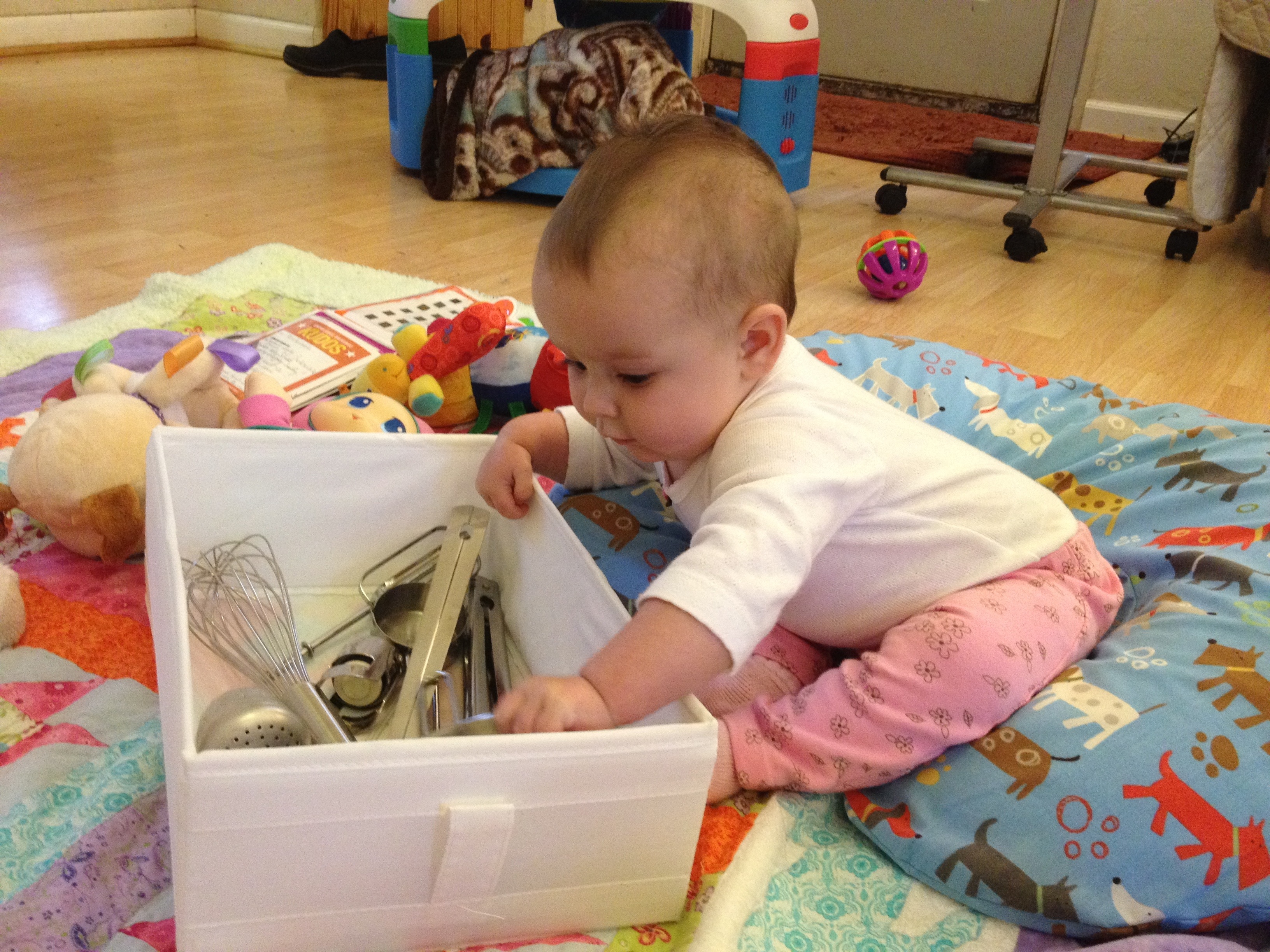 20120526-064049.jpg