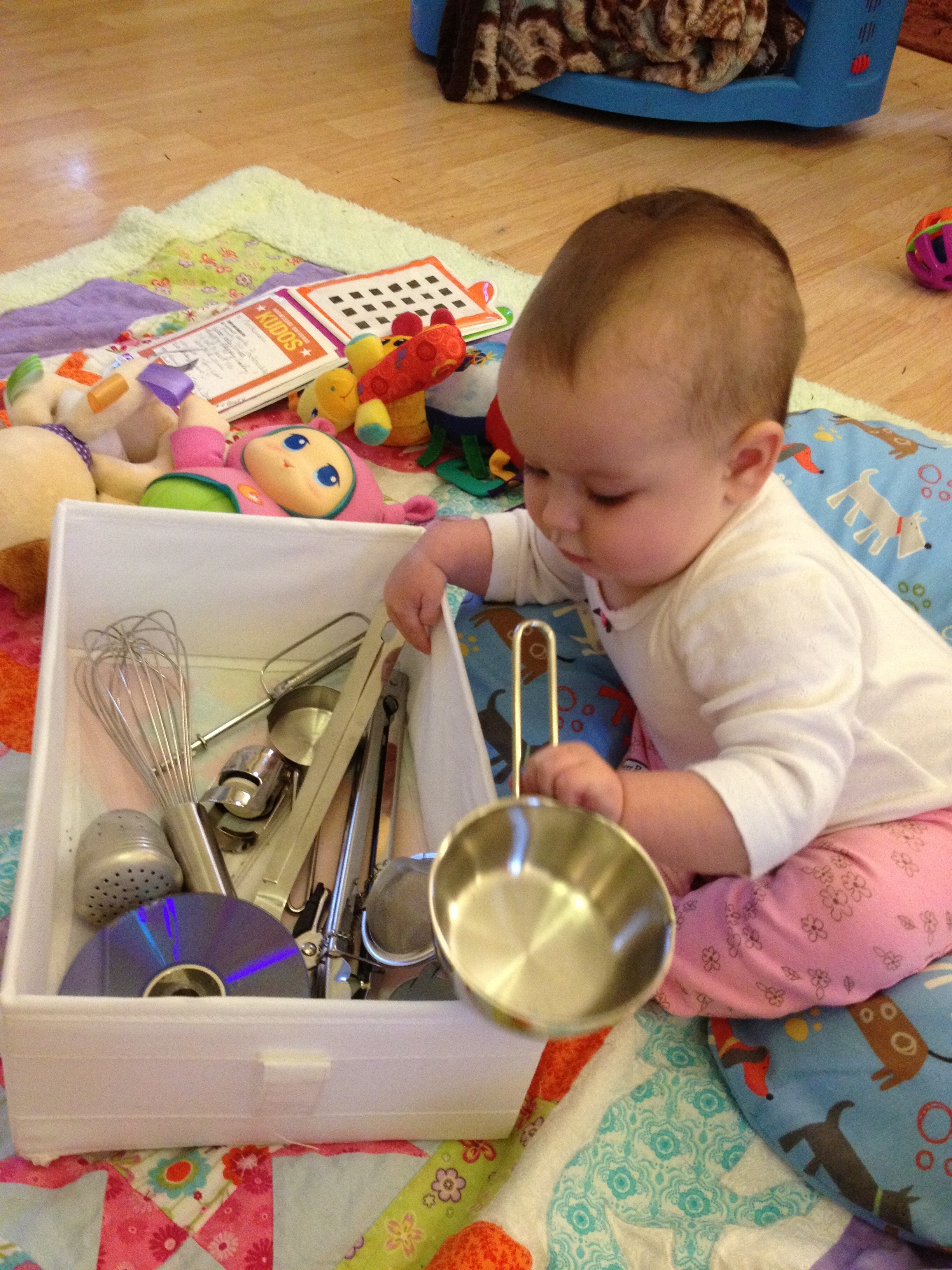 20120526-064113.jpg