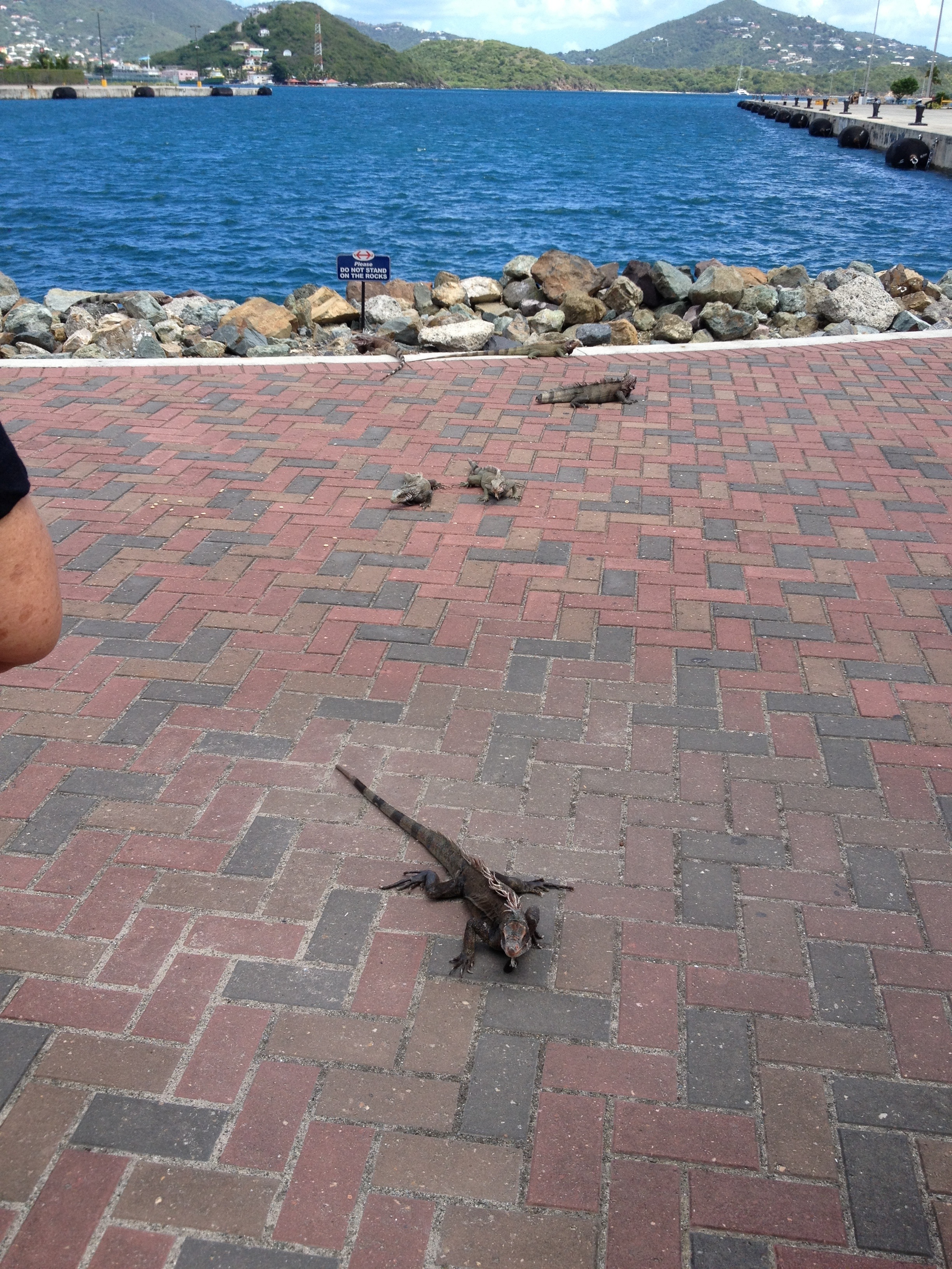 20121014-134405.jpg