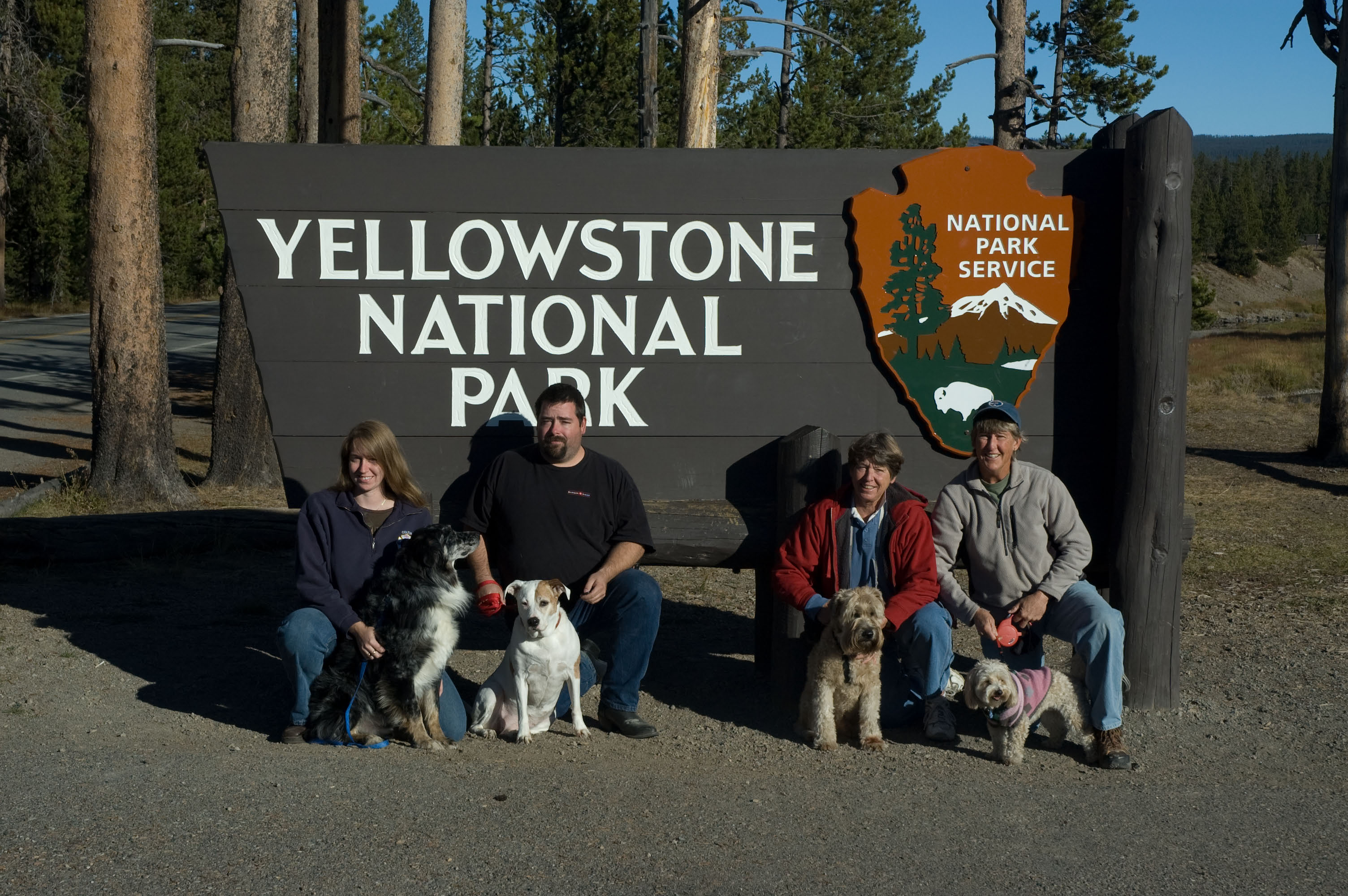 Yellowstone national park