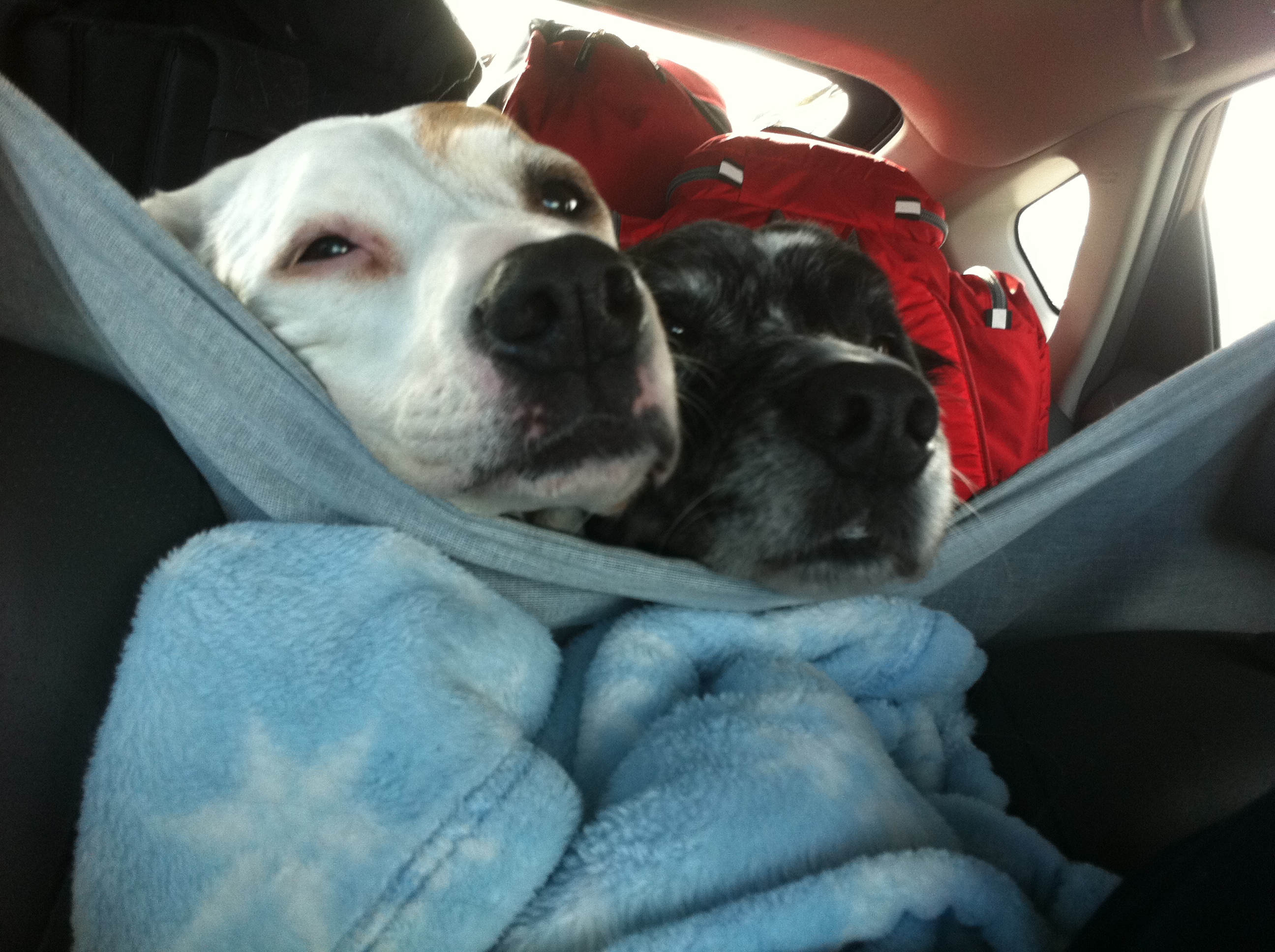 Road Trip