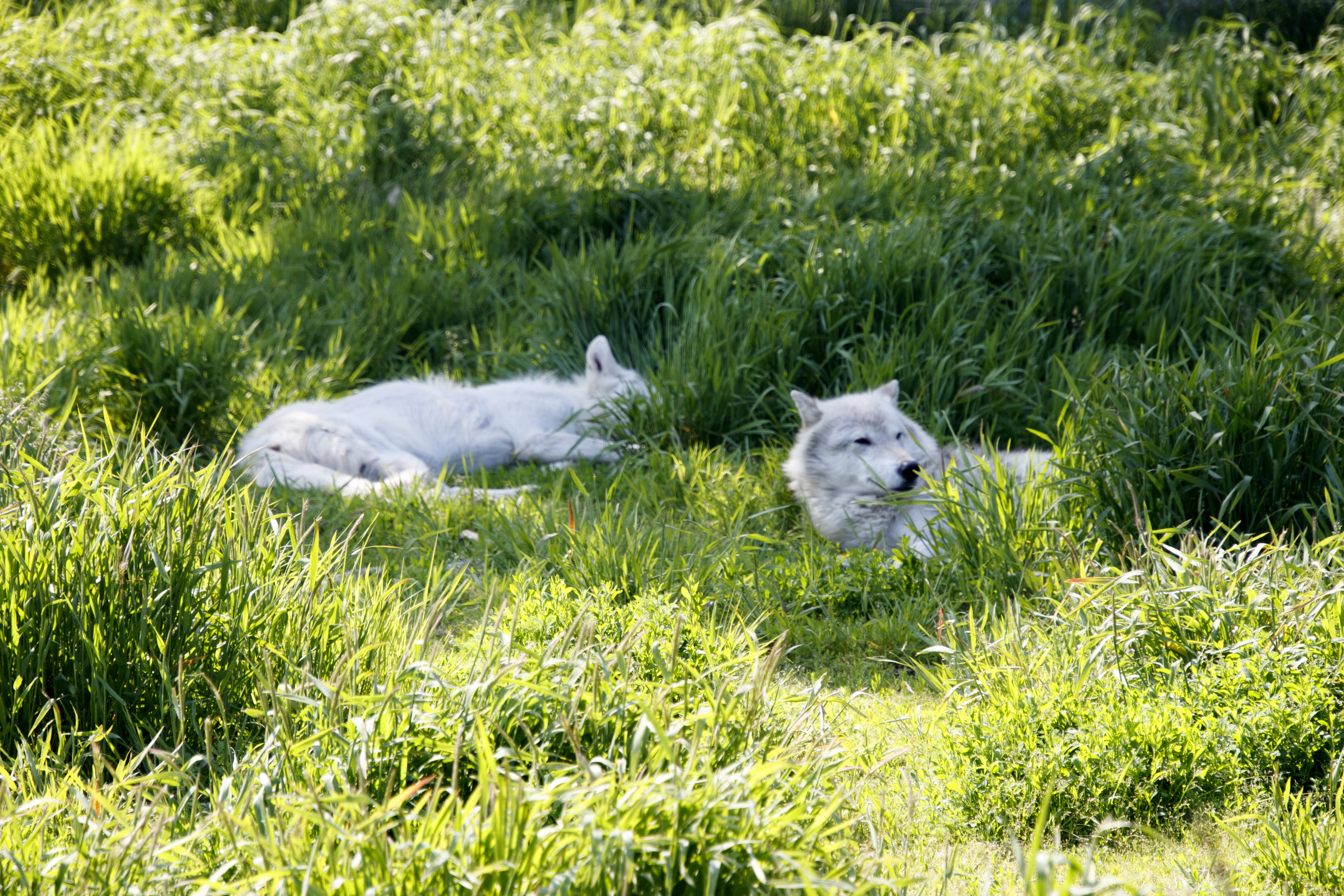 Last Days in the Kenai Peninsula