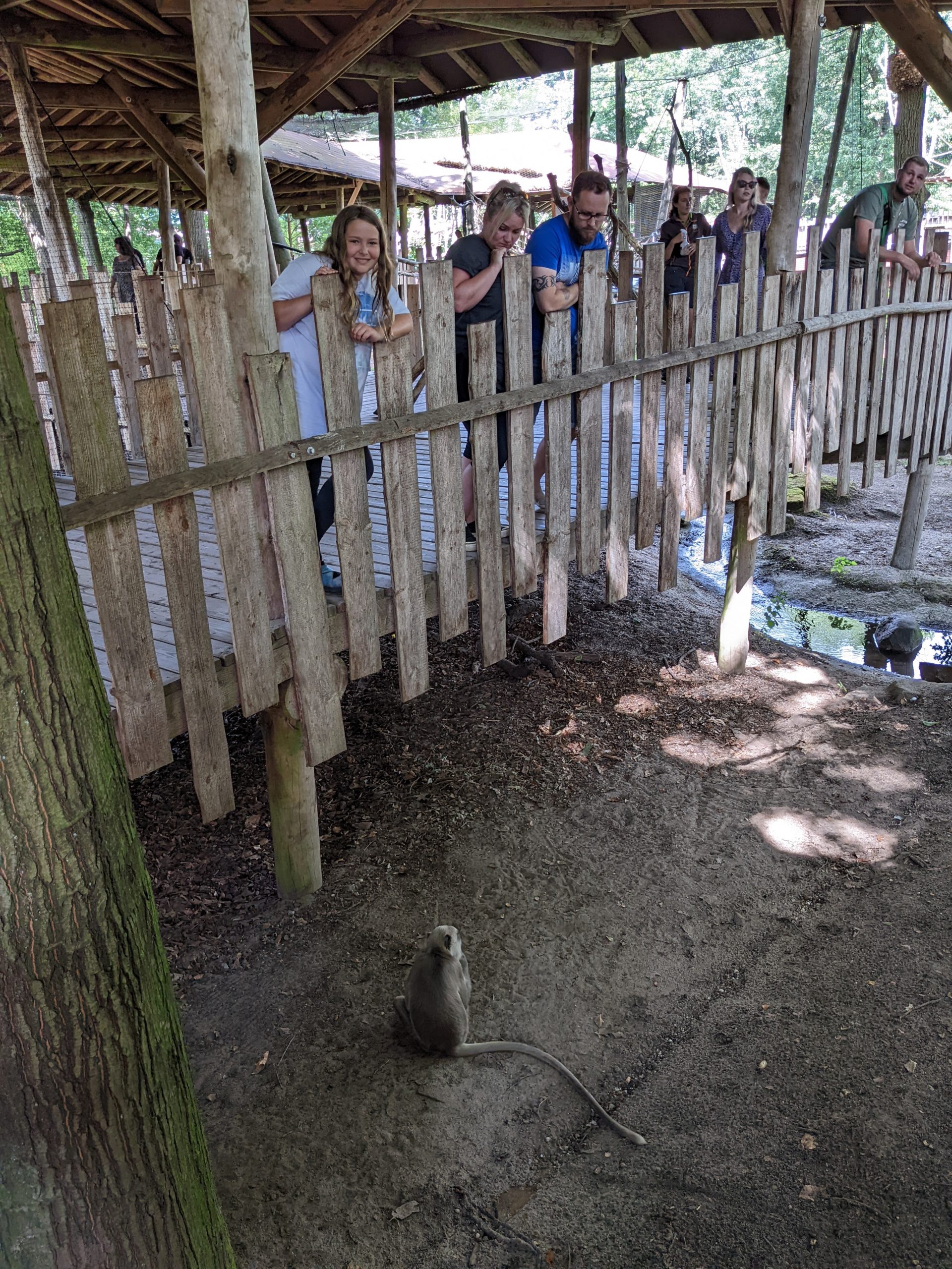 Day 11 – Monkeys!!!