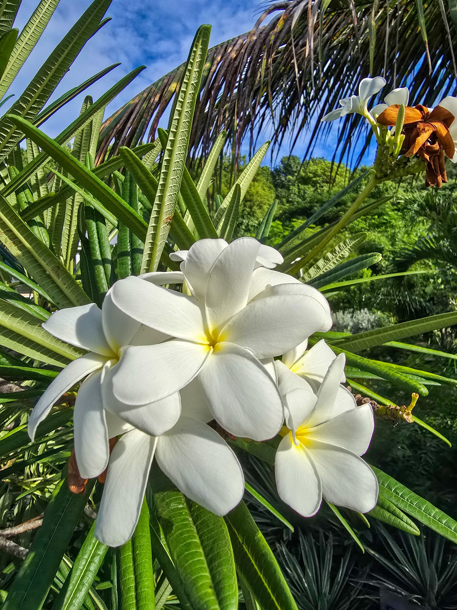Next Stop, Cooper Island!