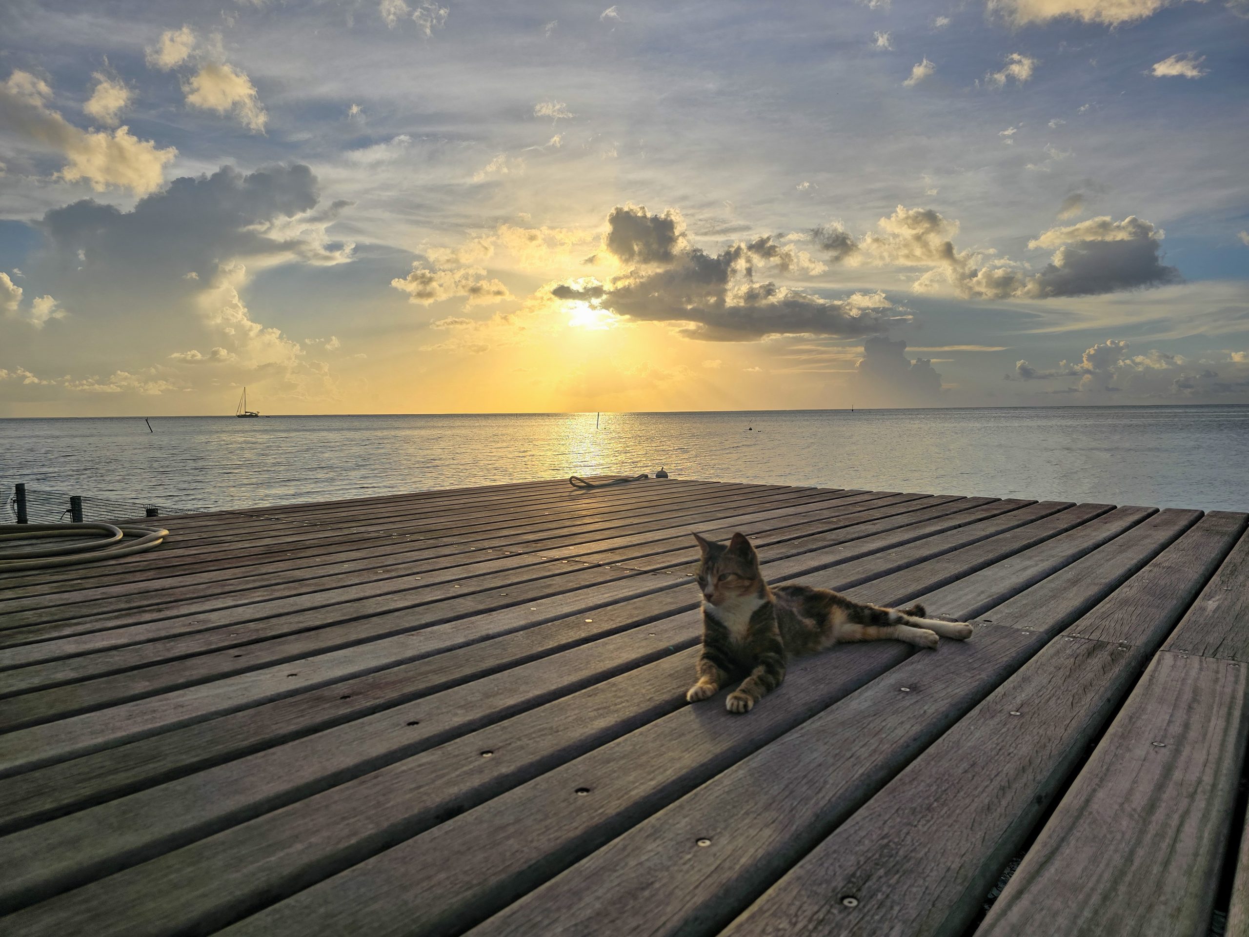 Final Day Of Sailing