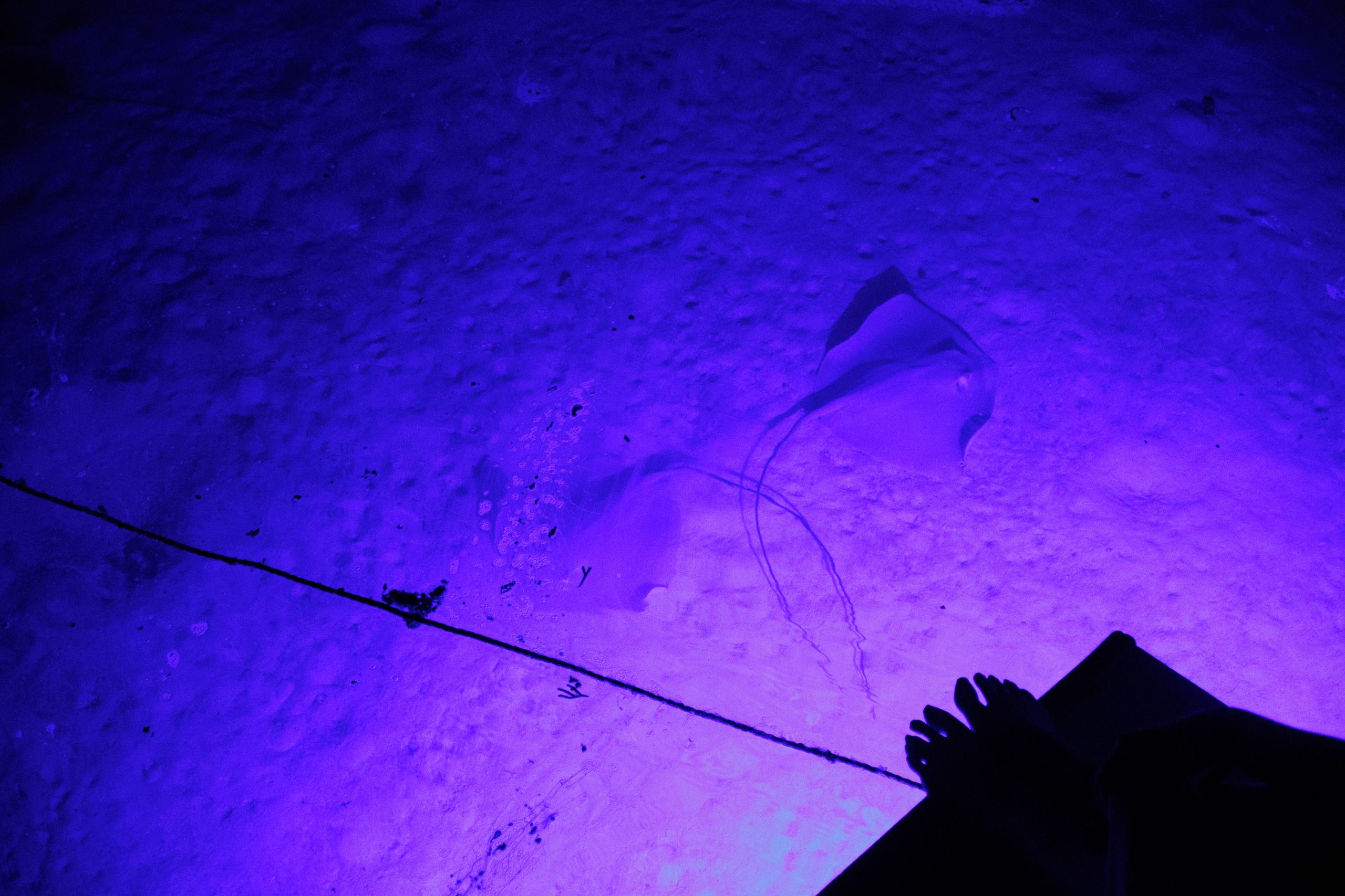 Flight to Raiatea and the First Day at Sea