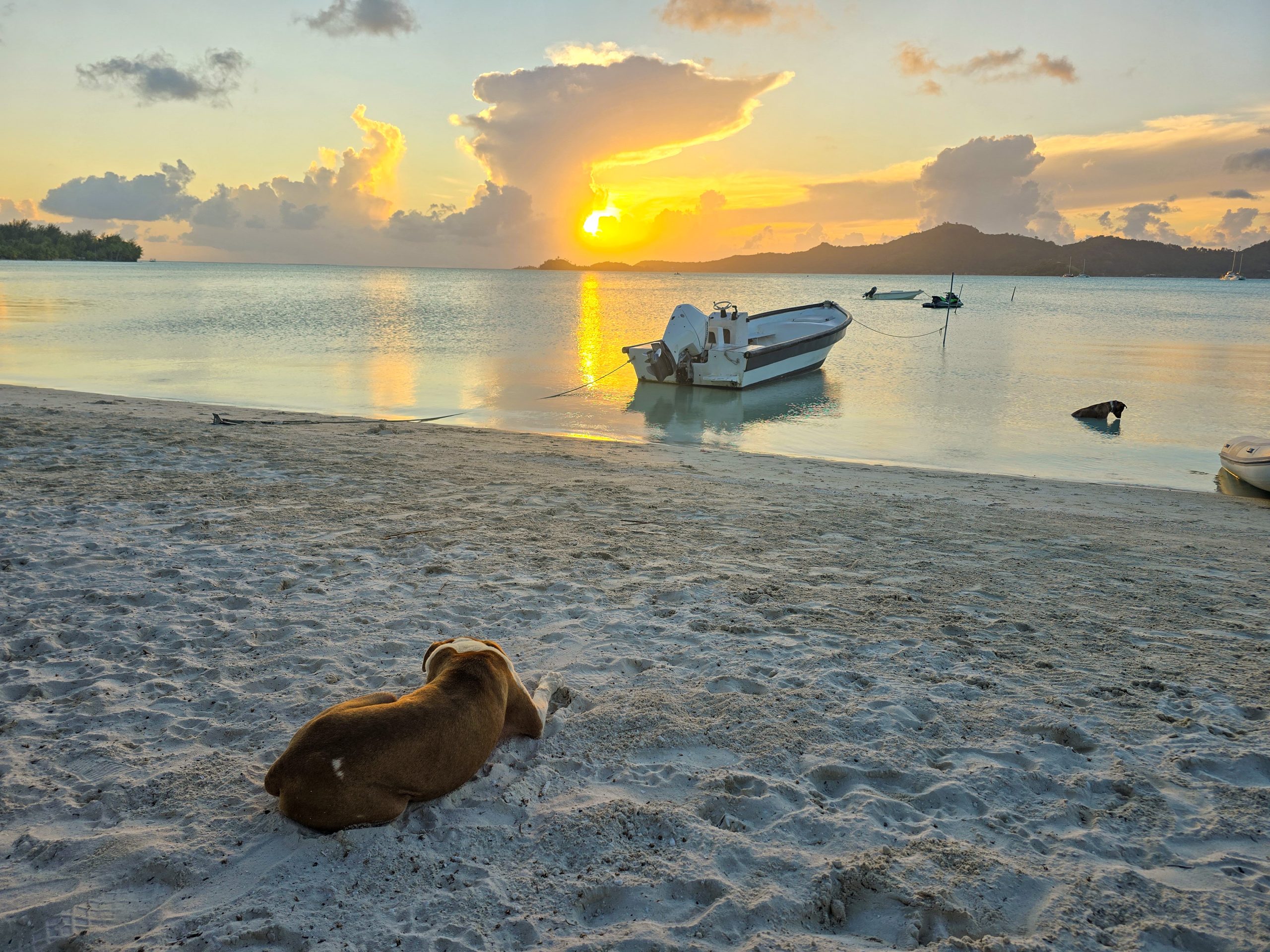 Bora-Bora and a Beach BBQ